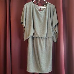 Jessica Howard 10p NWOT petite dress metallic dress